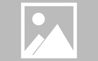 大丰美国设计网页制作公司（美国设计网站大全）